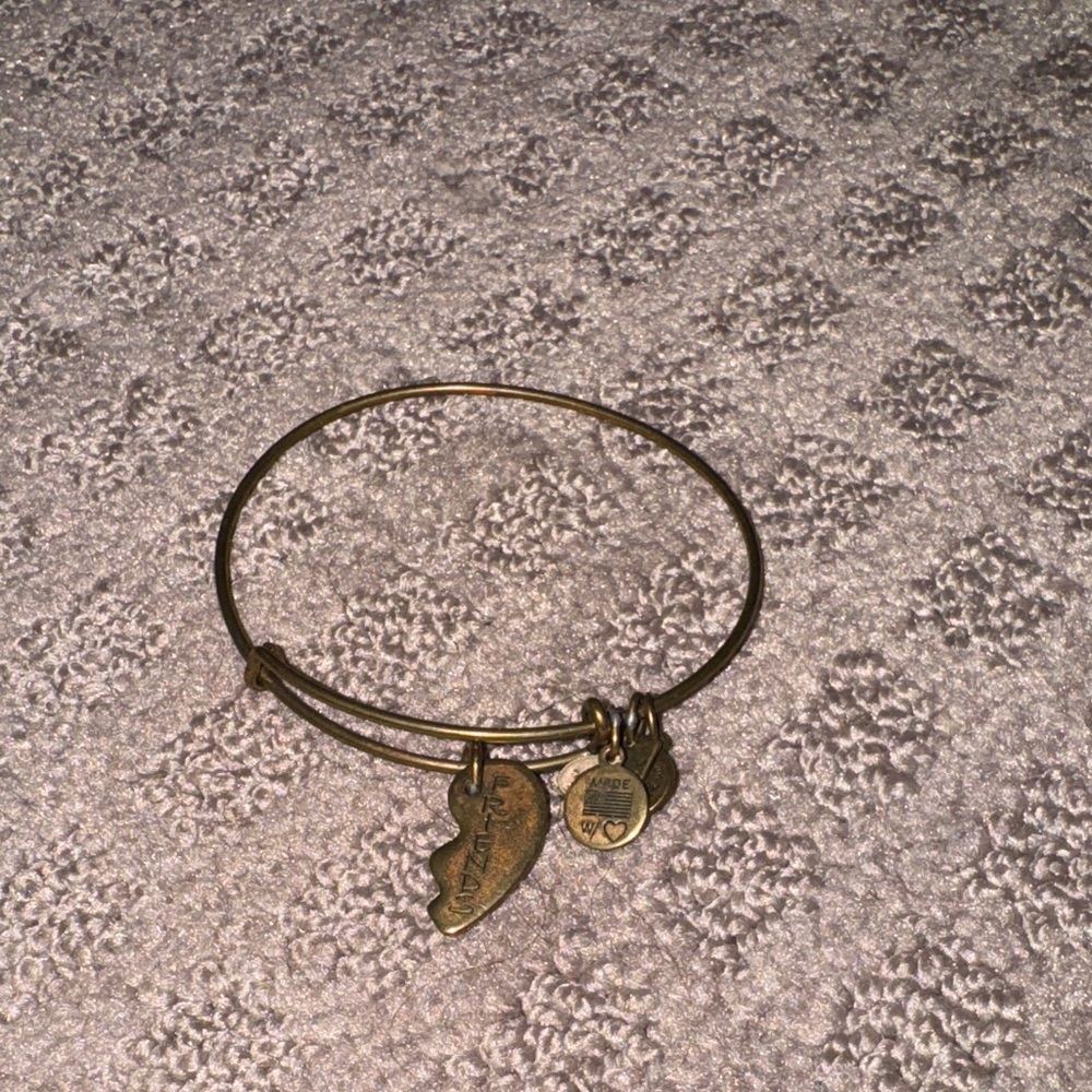 Alex and Ani friendship Charm Bangle Bracelet